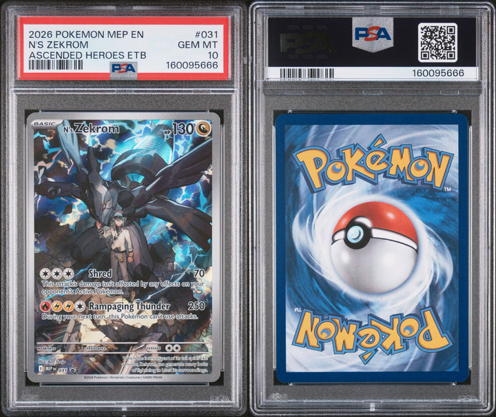 N’s Zekrom 031 Promo - PSA 10