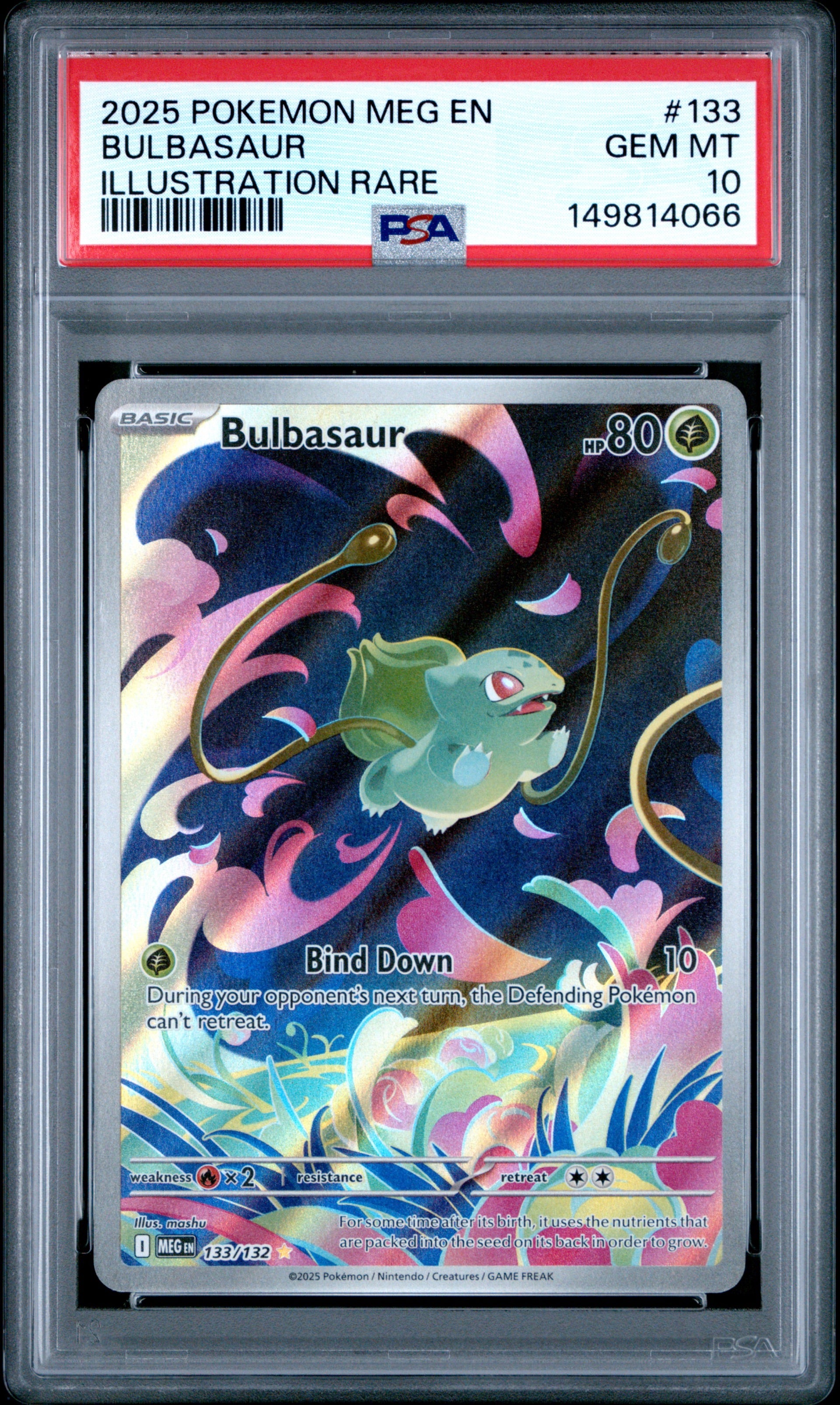 Graded Cards – WatsonTCG