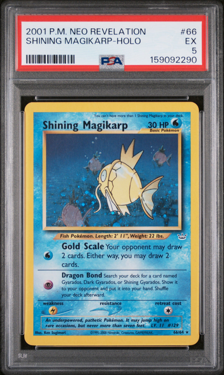 Neo Revelation Shining Magikarp Holo - PSA 5