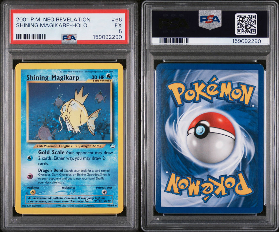 Neo Revelation Shining Magikarp Holo - PSA 5