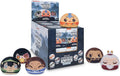 Avatar The Last Airbender Reversible Blind Box Plushie